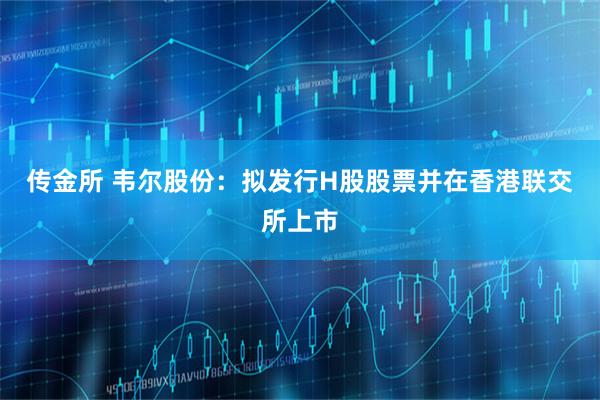 传金所 韦尔股份：拟发行H股股票并在香港联交所上市