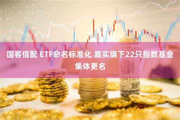 国客信配 ETF命名标准化 嘉实旗下22只指数基金集体更名
