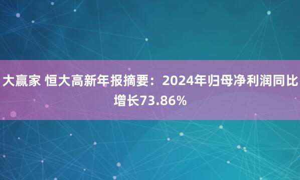 大赢家 恒大高新年报摘要：2024年归母净利润同比增长73.86%