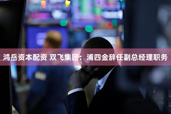 鸿岳资本配资 双飞集团：浦四金辞任副总经理职务