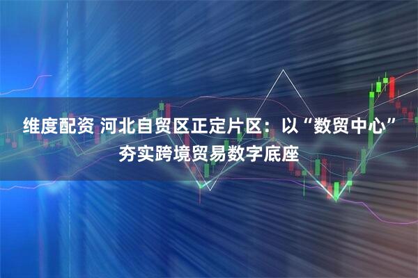 维度配资 河北自贸区正定片区:以“数贸中心”夯实跨境贸易数字底座