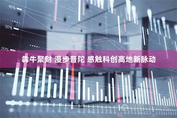 犇牛聚财 漫步普陀 感触科创高地新脉动