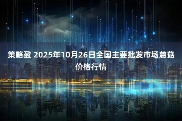 策略盈 2025年10月26日全国主要批发市场慈菇价格行情