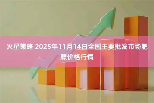 火星策略 2025年11月14日全国主要批发市场肥膘价格行情