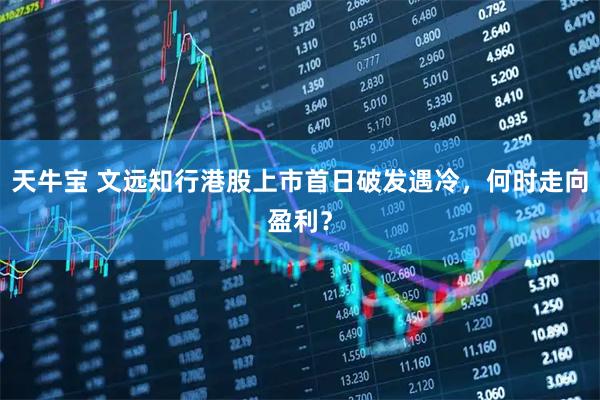 天牛宝 文远知行港股上市首日破发遇冷,何时走向盈利?