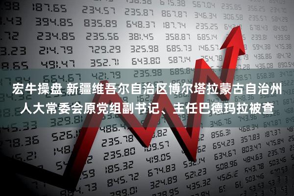 宏牛操盘 新疆维吾尔自治区博尔塔拉蒙古自治州人大常委会原党组副书记、主任巴德玛拉被查