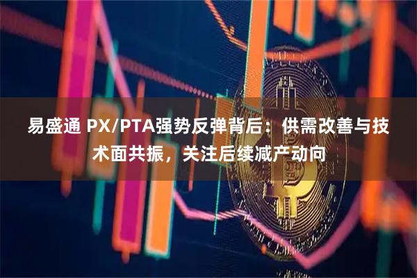 易盛通 PX/PTA强势反弹背后:供需改善与技术面共振,关注后续减产动向